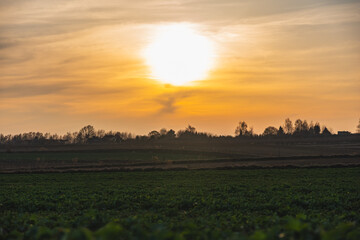 Sunset over nearly empty fields at the beginning of spring