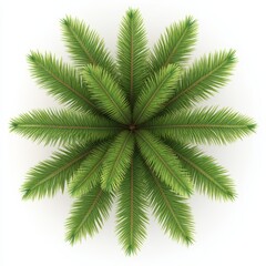 Lush Green Pine Tree Top View Cinematic Aesthetic Background