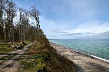 Zauberwald Kühlungsborn