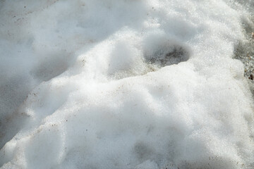 Dirty snow in the field.