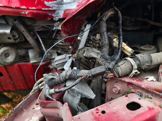 Abandoned cars after accidents in a dense overgrown setting