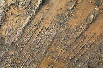 Dirty and muddy ground road in the nature at spring time.