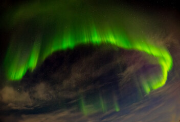 Northern lights at Skagsanden Beach in the Lofoten Islands (Norway)	