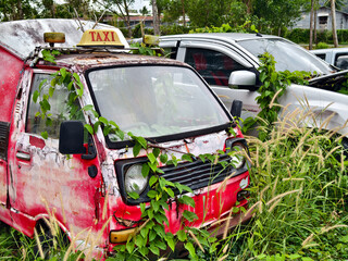 Abandoned cars after accidents in a dense overgrown setting