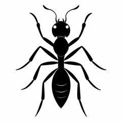 vector illustration of a spider