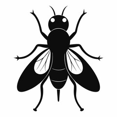 bee vector illustration