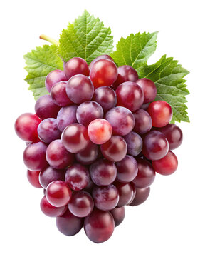 red grapes isolated on white dackground  PNG,AI GENERATED