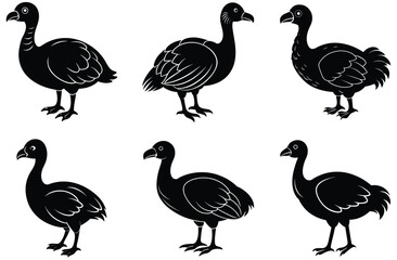 dodo vector silhouette © mstkhatija