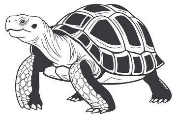 Cute green turtle vector illustration walking slowly, isolated