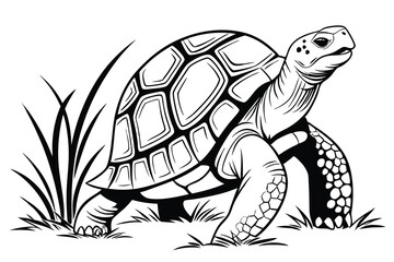 A cute green cartoon turtle slowly crawls across the white isolated grass