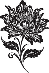Fototapeta premium Vector set of black silhouettes of tropical hibiscus flowers isolated on a white background