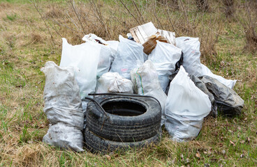 Garbage bags and plastic bottles in the trash. Environmental pollution. Volunteer collects garbage in the park.