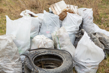Garbage bags and plastic bottles in the trash. Environmental pollution. Volunteer collects garbage in the park.