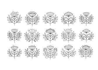 vector set of floral elements. flowers