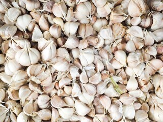 Top view of a pile of garlic or Allium Sativum