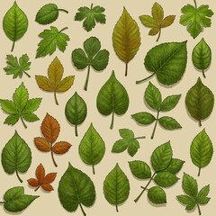 attern with colorful leaves