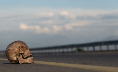 Human skull on the highway