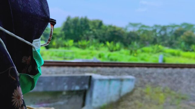 A close-up image shows a person on a train wearing a mask looking outdoors. The backdrop features lush greenery, trees and a bright atmosphere, creating a safe and refreshing outdoor scene.