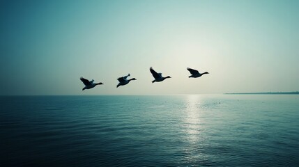 Obraz premium blue sky,The Yellow River flows into the sea, and three wild gooses fly over it with their wings outstretched. 