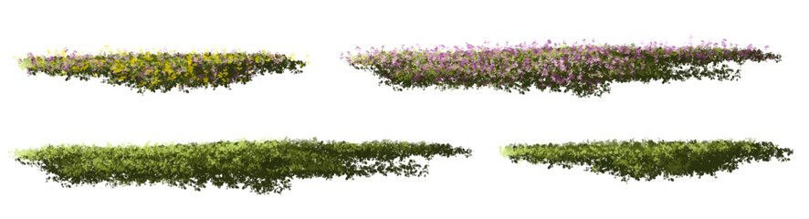 set of grass, Vertor set of spring blossom tree,blooming plants side view  for landscape elevation and section,eco environment concept design,watercolor shrub illustration,colorful season