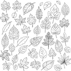 seamless pattern with leaves