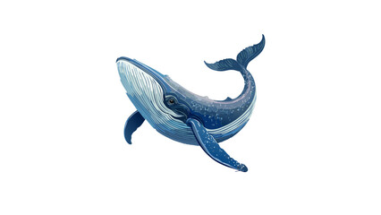 whale