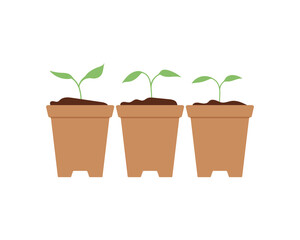 Young green seedlings in multiple pots. Vector illustration for gardening, farming, plant care, and eco friendly design projects