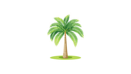 palm tree