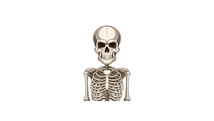 skeleton