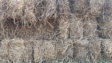 Brown haystack texture background in barn. Layers of straw stacked on top of each other. Dry straw, yellow dry grass straw.