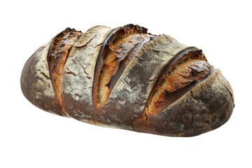 Close-Up of Contaminated and Rotten Bread