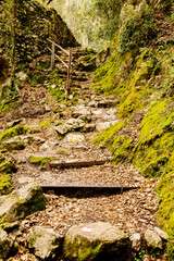 Stairs on hiking path Valle delle Ferrierie. The path between ferns, streams and waterfalls.