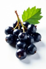 Fototapeta premium Close-up of fresh black currants on white background, fruit, antioxidant, ripe