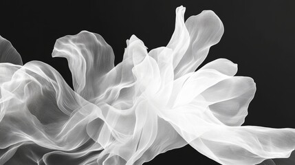 minimalism and abstract illustration, black background, ballpoint drawing art style, white, capillary effect, extremely close-up shot to fluorescent white lotus, white patter with gradient translucent
