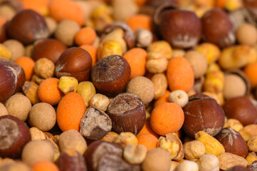 Colorful assortment of assorted nuts and seeds highlighting nature's bounty in a close-up view