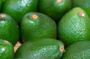 Freshly harvested avocados displayed in a market, showcasing vibrant green colors in natural lighting