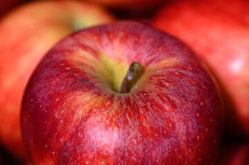 Fresh red apples glistening in warm sunlight at a bustling farmers market in autumn