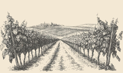 Vintage Vineyard Landscape Engraving Illustration with Countryside Scenery and Wine Vines