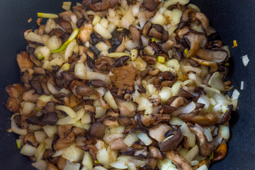 Oyster mushrooms during frying with chopped onion in frying pan