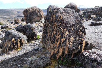 Volcanic rocks covered with lichens in misty scenery of Kilimanjaro, Machame Route, trail from Shira Camp to Barranco Hut, Tanzania © Iwona