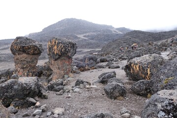 Kilimanjaro, Tanzania: 20 February 2025: Group of people in volcanic scenery trail on Kilimanjaro, Machame Route, trail from Shira Camp to Barranco Camp. Tanzania © Iwona