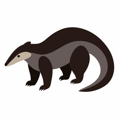 Obraz premium Anteater vector illustration 