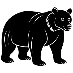 Fototapeta premium Bear vector illustration 