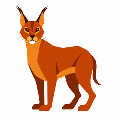 Caracal vector illustration 