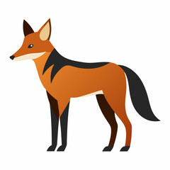 Jackal vector illustration 