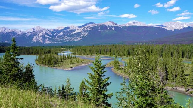 Summer Landscape of Athabasca River with Sandbars and Forest in the Canadian Rockies. Jasper National Park, Alberta, Canada
