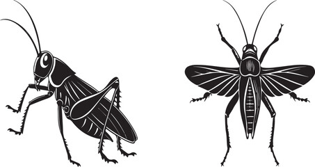 Grasshopper silhouette vector design with white background .