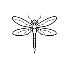 Dragonfly with transparent wings line art illustration