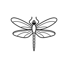 Dragonfly with transparent wings line art illustration