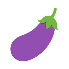 Eggplant brinjal vegetable vector illustration